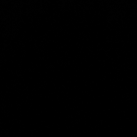 Meet your Posher, Lily - Picture 1 of 1